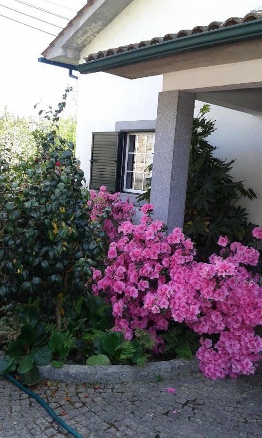 Casa Pinho Guest House Sao Pedro do Sul Exterior photo