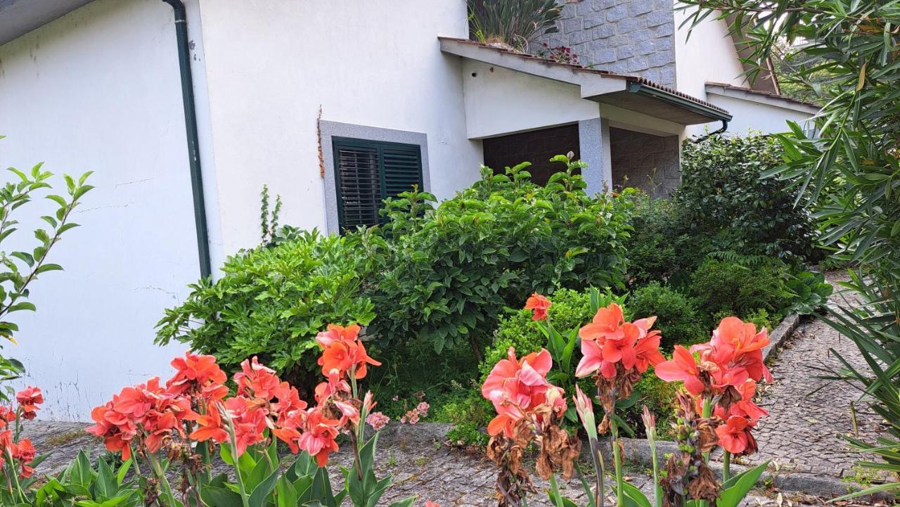 Casa Pinho Guest House Sao Pedro do Sul Exterior photo